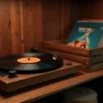 Vinyl Record Gift Guide: The Best Gifts for the Record Collector in Your Life
